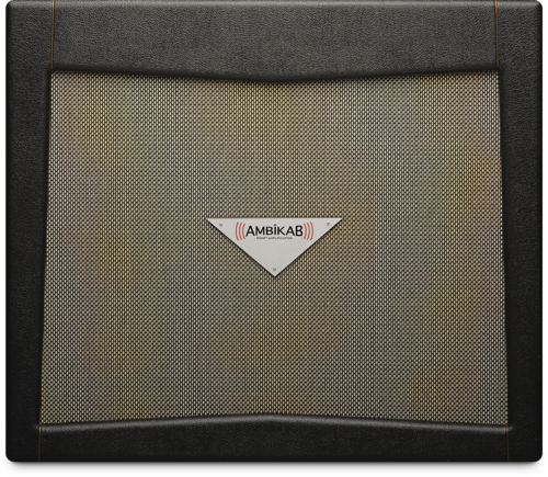 Komet Ambikab, 2x 8" en  2 x 12" speaker gitaar kast